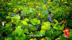 游子吟