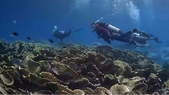 Great Barrier Reef Showcase Video