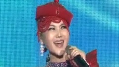 凤凰飞