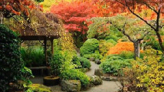 Garden Of Dreams