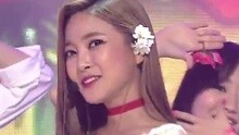 Honey Summer 现场版