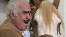 Vicente Fernández,Sean Kingston - Vicente Fernández - Mala 官方版