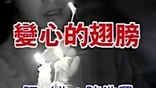 陈明真-变心的翅膀