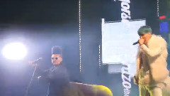 Wild Horse