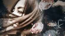 王菲 - 清平调