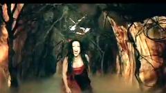 Evanescence - Sweet Sacrifice