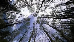 For Better Moments(Smoth Relax Mix)