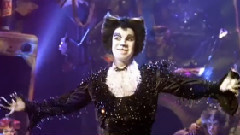 风骚哥和戏法猫