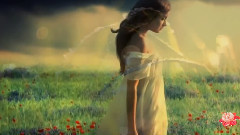 ハーフムーン.セレナーデ(月半小夜曲)