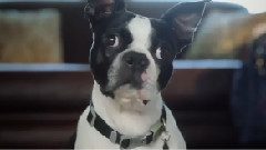 Stella Travel To Northern California