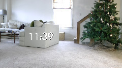 我们的猫,我们的圣诞树