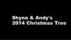 2014 Set Up The Tree