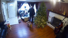 How Tobuilda Christmas Tree 2014