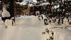 Good Grief Another Blizzard