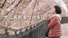 影视原声 - 犬に名前をつける日 予告編