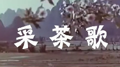 刘三姐采茶歌简谱_刘三姐上山采茶简谱(3)