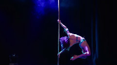 Dance company 2014pole dancing