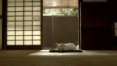 影视原声 - <猫侍 Season2>主題歌特別PV