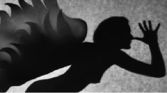 Birds Talk In The Morning Sky