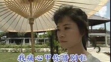 詹雅雯 - 伤心的脚步声