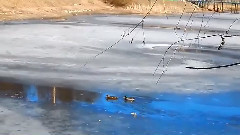 ВлюбленныеУТИ