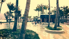 全球婚礼视频精选006