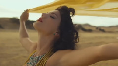 Wildest Dreams