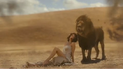 Wildest Dream