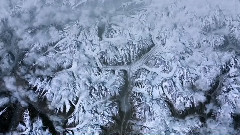 dan stone trance collection 01