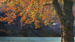 Stamatis Spanoudakis,音乐短片 - Autumn