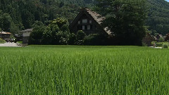 白川乡与五箇山的合掌造村落