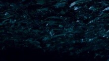 Night Air
