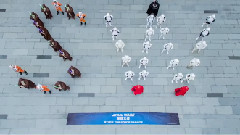 影视原声 - The Force Parade at Shanghai Tourism Festival
