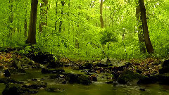 Vocal Trance January 2014