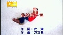 我的男主角