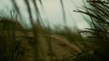 Sweet Kinda' Something Video