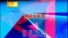 鱼儿水中游