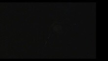 Himawari Live Ver.