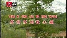 等你等到我心痛