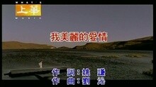 我美丽的爱情
