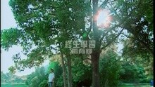 终身学习