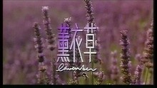 薰衣草