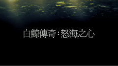 影视原声 - 电影<白鲸传奇 怒海之心>最新中文预告
