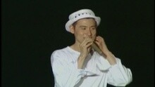 心碎了无痕