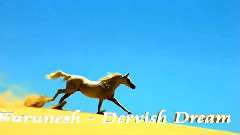 Dervish Dream