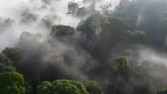 影视原声 - <大自然在说话> 预告片精彩片段 蒋雯丽配音