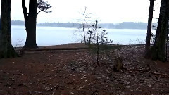 It's All Happening The Pond - Steady Dragon Stabilizer