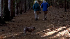 Cutie Pie Plays The Pond