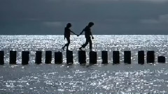 White Dove Превод