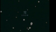 张学友,许慧欣 - 爱是永恒